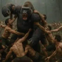 100 Men vs 1 Gorilla logo