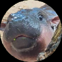 Moo Deng (MooDengBase) logo
