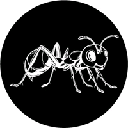 ANTSCOIN logo