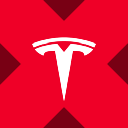Tesla tokenized stock (xStock) logo