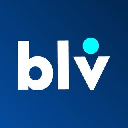 Bellevue Network logo