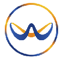 WAY-F coin logo