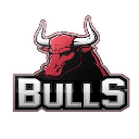BULLS logo