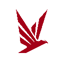PolkaFoundry logo