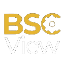 BSCView logo
