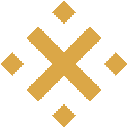 XBN Community Token logo