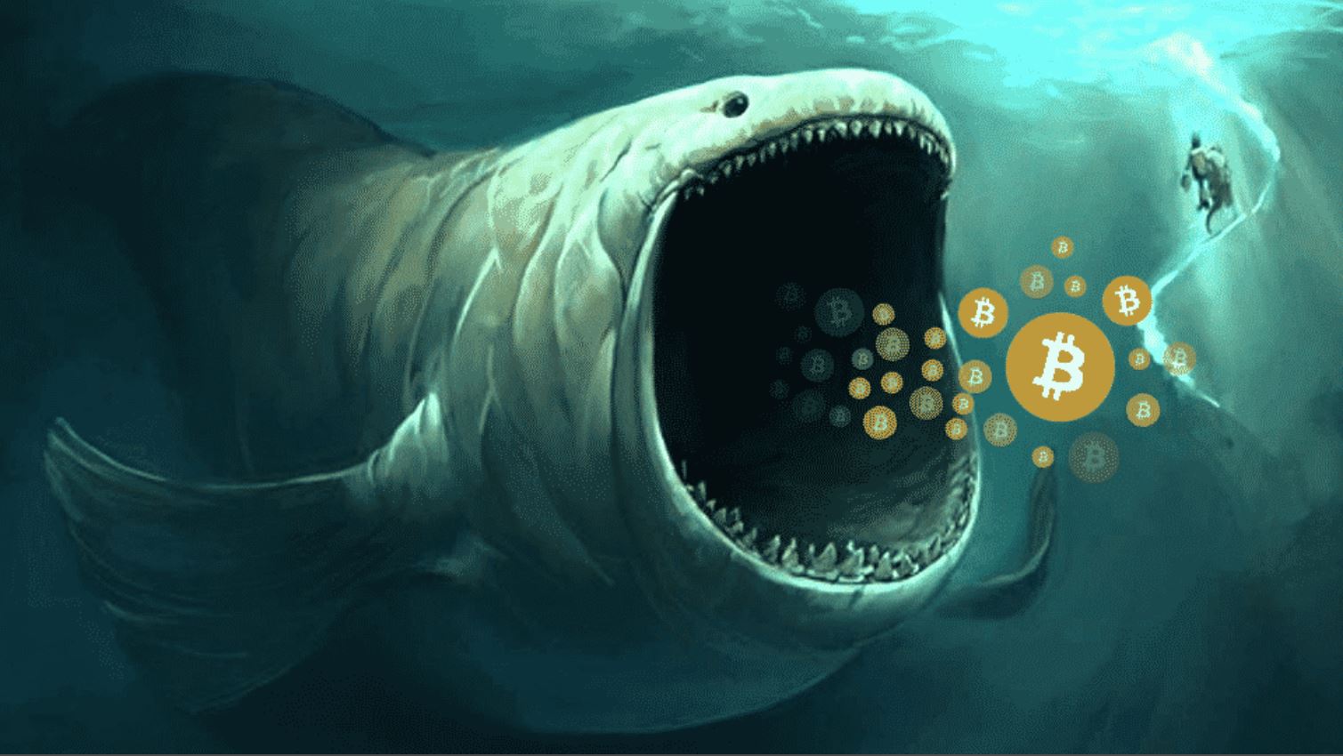 "Buy The Dip" - Treći po veličini Bitcoin kit dokupio 29 miliona dolara Bitcoina