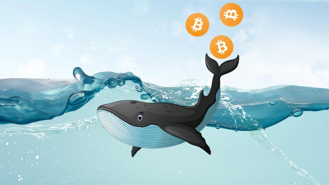 Bitcoin kit prebacio 107 miliona dolara - Pogledajte gdje se BTC prebacuje