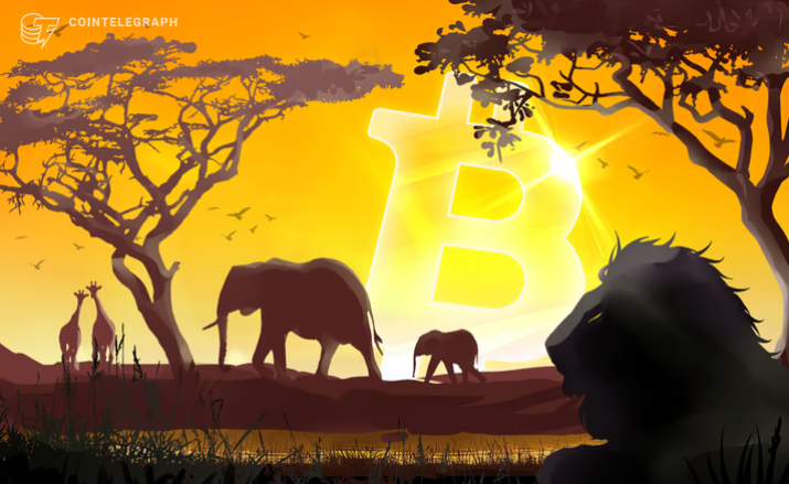 Bitcoin je sada zvanična valuta u Centralnoafričkoj Republici